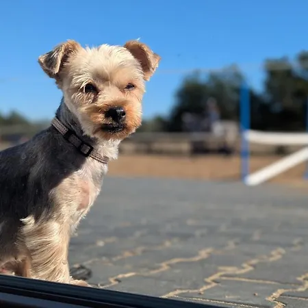 شقة Lasitta Starzno